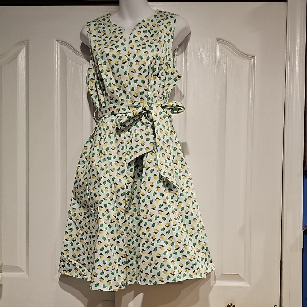Boden Mischa Belted Lemon & Lime Dress Sz 14R NWT - Picture 6 of 13